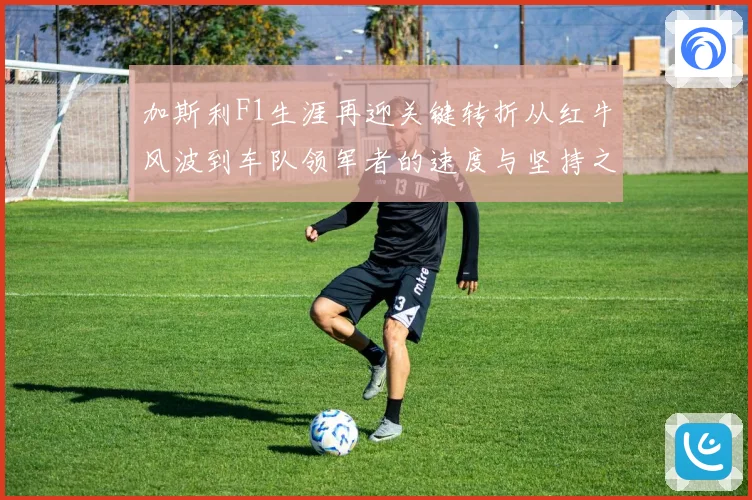 加斯利F1生涯再迎关键转折从红牛风波到车队领军者的速度与坚持之路