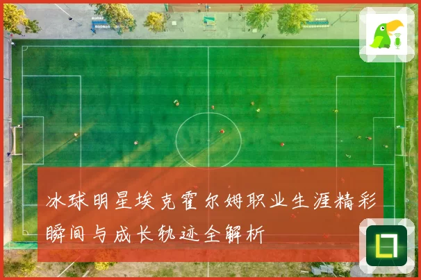 冰球明星埃克霍尔姆职业生涯精彩瞬间与成长轨迹全解析