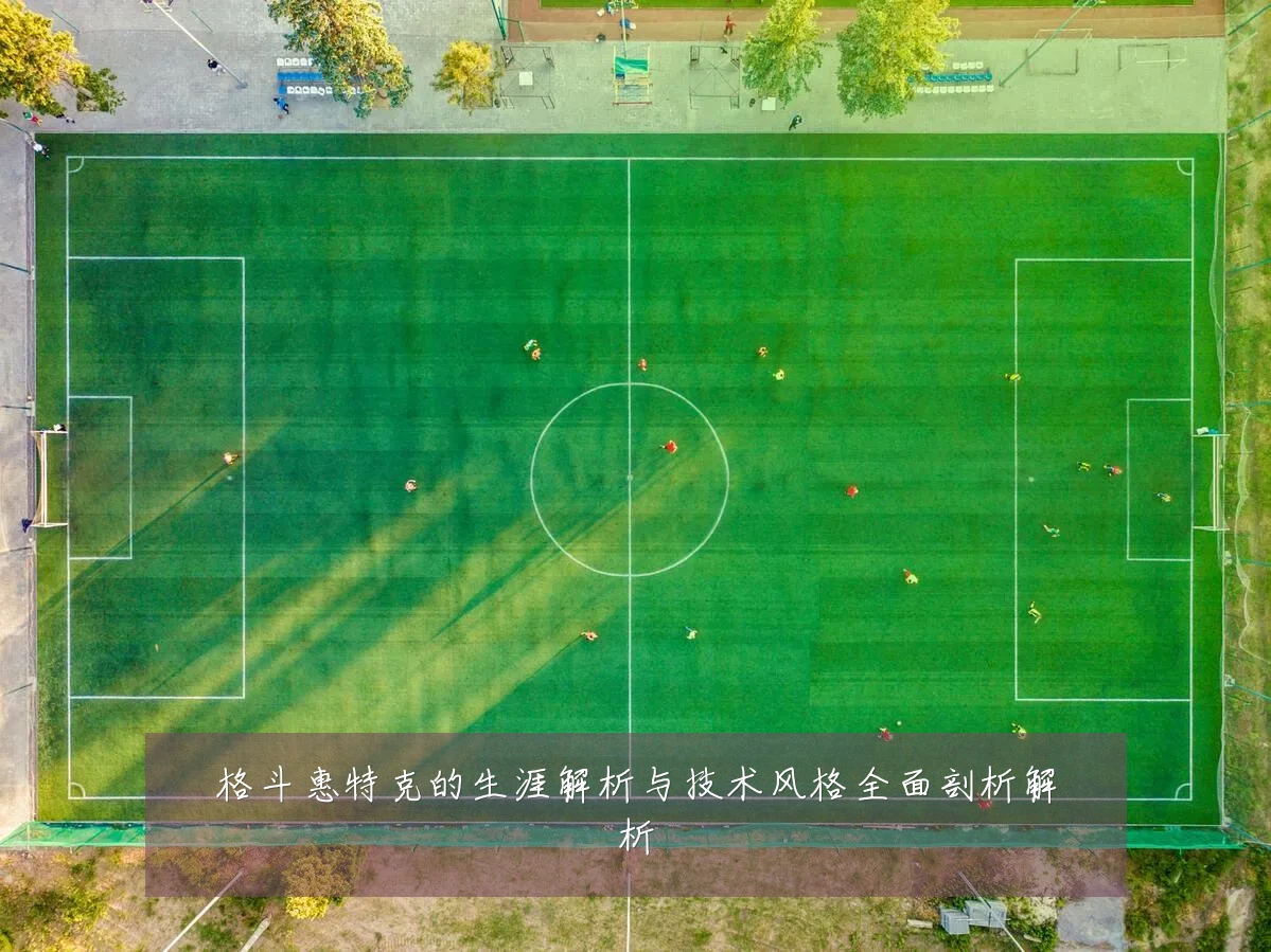 格斗惠特克的生涯解析与技术风格全面剖析解析